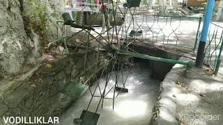 Vodilliklar Kanalimzga Azo Bolinglar