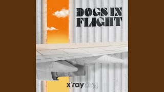 Dreams Of Victory
Provided to YouTube by X-ray Dog / BMG Production Music
Dreams Of Victory · X-Ray Dog · Arend Bruijn
Dogs In Flight
℗ 2024 X-ray Dog / BMG Production Music
Released on: 2024-12-11
Producer: BMG Production Music
All Instruments: Arend Bruijn
Composer: Arend Bruijn
Auto-generated by YouTube. Dreams Of Victory