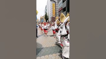 Thumbnail of Koenji awa odori festival Jepang #galerinihong #jepang #tokyo #japan