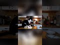 Proofing Without Punching Down