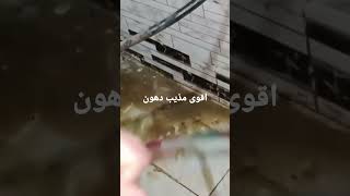 اقوي مذيب دهون