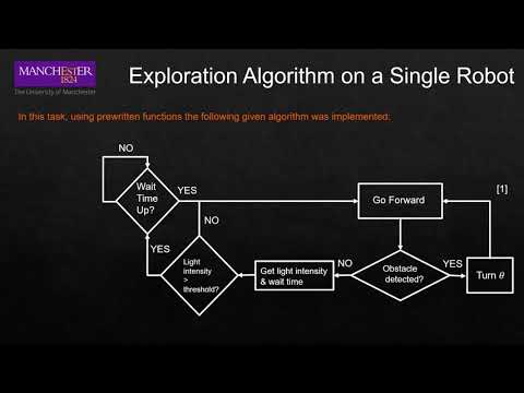 Mona Robot performing BEECLUST Algorithm