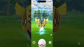 Pokémon Go - Level 5 Raid - Tapu Koko