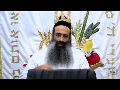 ביאור כוונות השופר - חלק ט | הסבר על מהלך הנסירה הנעשה בימים נוראים | הרב מאיר מועלם