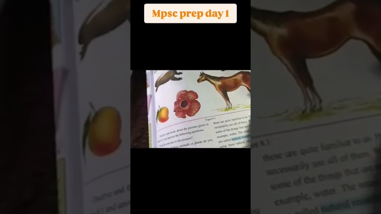 Mpsc in english day 1 