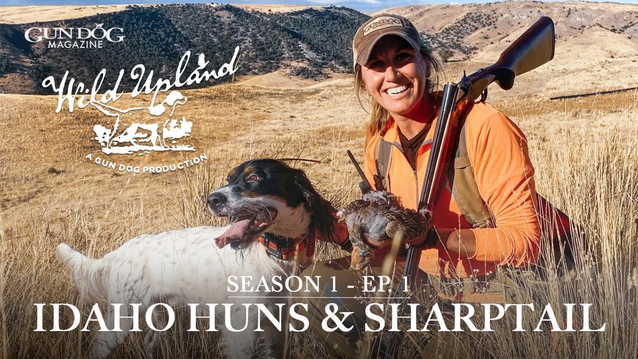 Idaho Huns and Sharptail - Wild Upland Season 1, Ep.  1