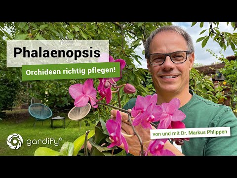 Video: Welcher Dünger wird für Orchideen benötigt