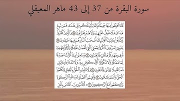 سورة البقرة من 37 إلى 43 ماهر المعيقلي