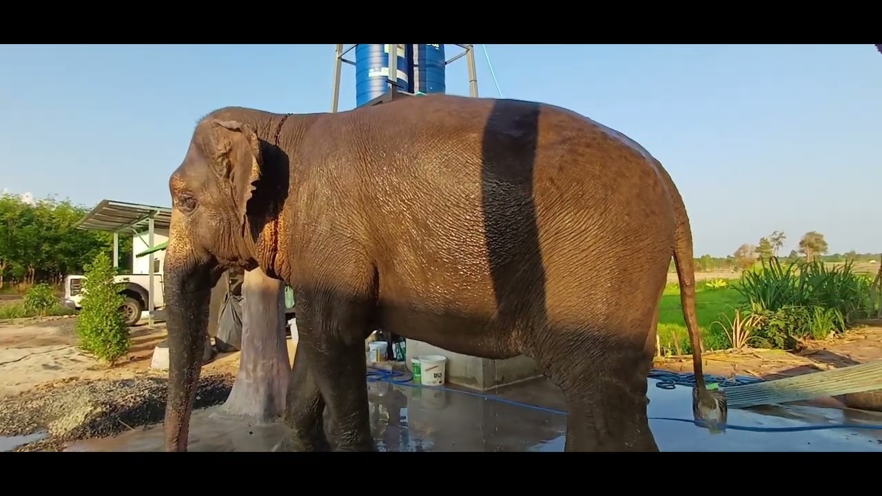 อาบน้ำเสร็จเช็คระบบเสาหน่อยว่าจะเซไหม