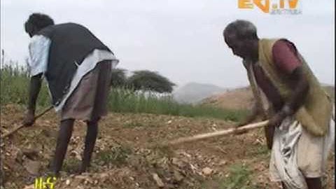 Eritrean News - Hamelmalo Sub Zone Micro Dam Report by Eritrea TV