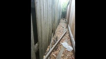 hole in the fence (2)