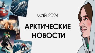 АРКТИЧЕСКИЕ НОВОСТИ #5/ полтора года экспедиции, углерод на дне океана и серфинг в Арктике