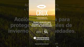 Crux La Combinación Que Necesitás Para Proteger Tus Cultivos De Trigo