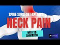An Orthopedic Surgeon S Guide Neck Pain An Orthopedic Surgeon S Guide Neck Pain