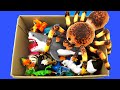 Learn Wild Animal, Farm Animal and Sea Animal Names With A Box Of Toys