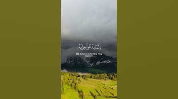 سورة فاطر | #اكسبلور #قران_كريم #لايك