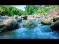 Water and Nature Sounds for Sleep Gentle Water &amp; Wilderness Ambience