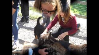 Visite 2nde élevage canin et dressage