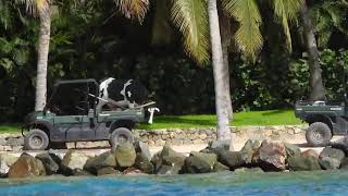 Epstein s Pedophile Island Little St James USVI on Water July 2019 2 3