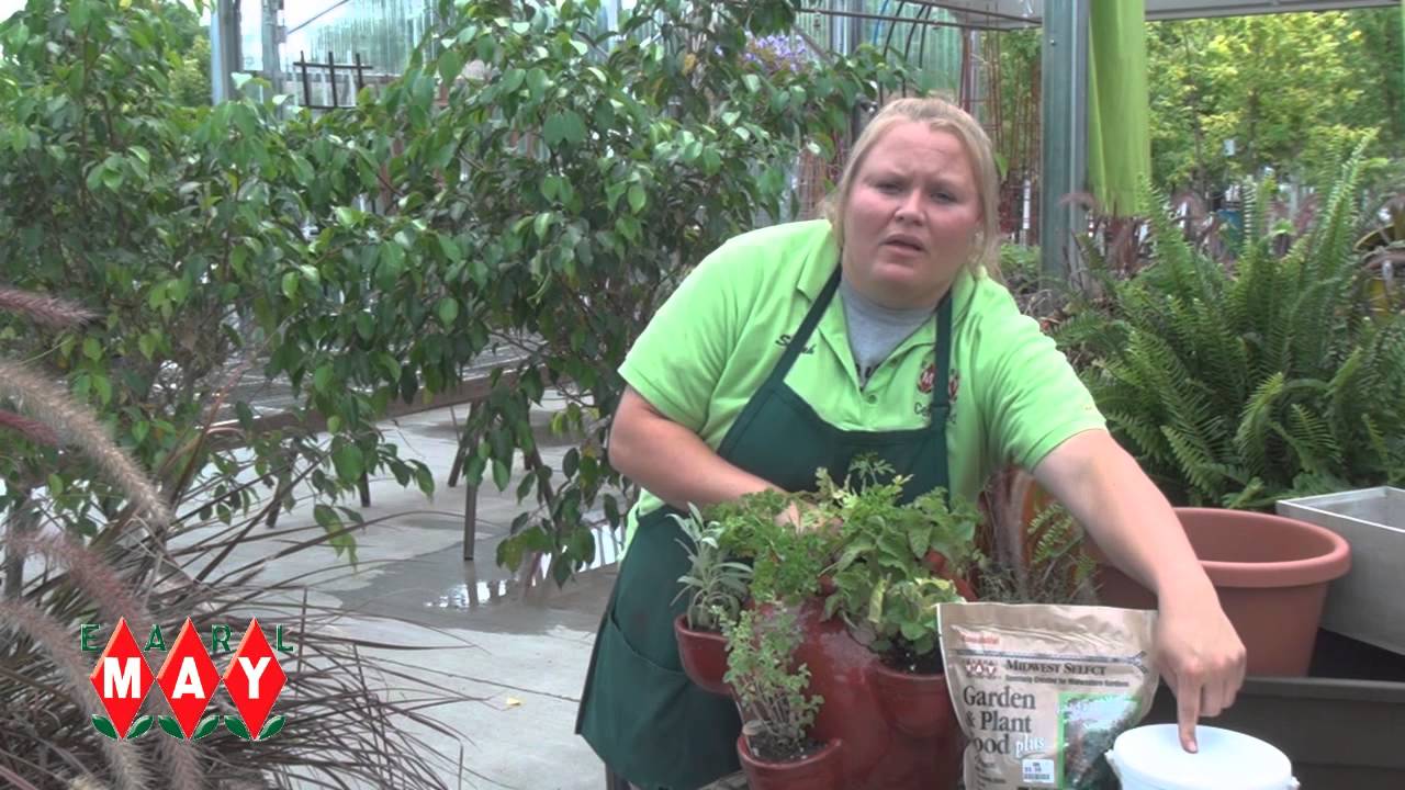 Earl May Garden Center How to Grow Herbs in Containers YouTube