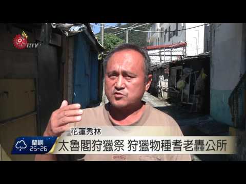 秀林感恩祭 開放狩獵引網民討論 2016-10-03 TITV 原視新聞