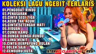 DANGDUT NGEBIT TERLARIS BOLEH SAJA | KOLEKSI LAGU PILIHAN PALING ENAK COVER ORGEN TUNGGAL TERBARU