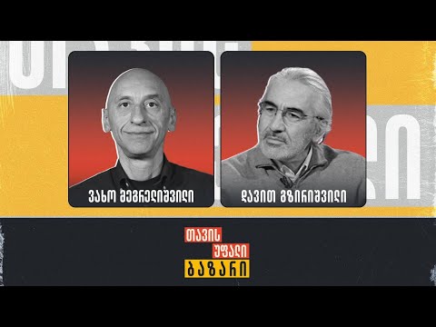 ორგანიზაცია \"თავისუფლების მოედანი\" | დავით გზირიშვილი და ვახო მეგრელიშვილი