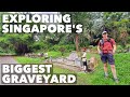 Bishan and Bukit Brown: Exploring the 100,000 graves of central Singapore | 探索中新加坡的十萬墳墓