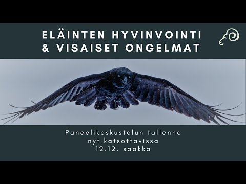 Video: MENTAALINEN HYVINVOINTI JA HUUMORITYYLIT