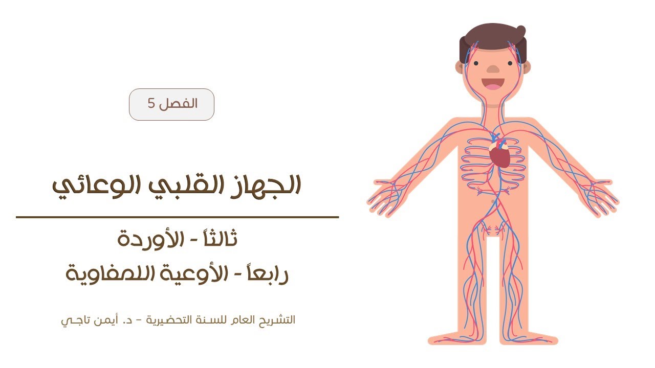 الجهاز القلبي الوعائي | الأوردة والأوعية اللمفاوية | التشريح العام للسنة التحضيرية