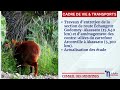🎥 Conseil des ministres du 19 novembre 2025