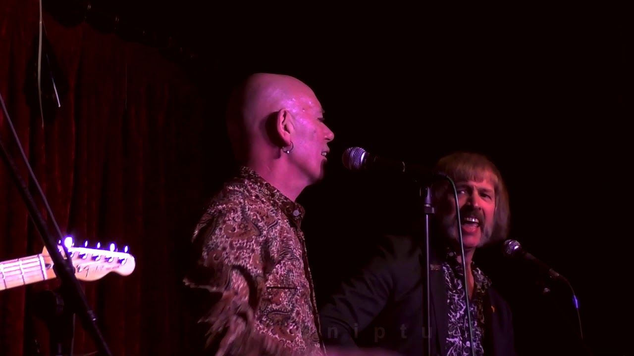 Hi Fi Sneakers - Dive Right In