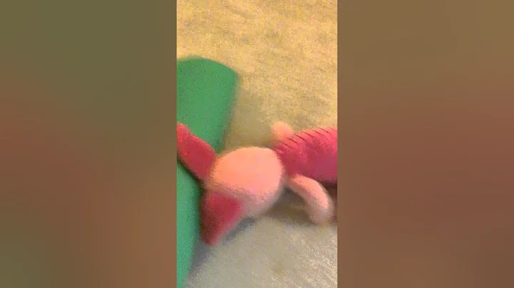 Transformashen to piglet and spongebob