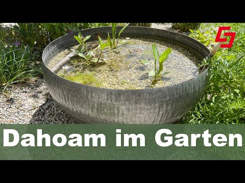 Alles für den kleinen Garten, Wasser, Wildsträucher, Blumenwiese im Topf, schöne Hochzeitstischdeko