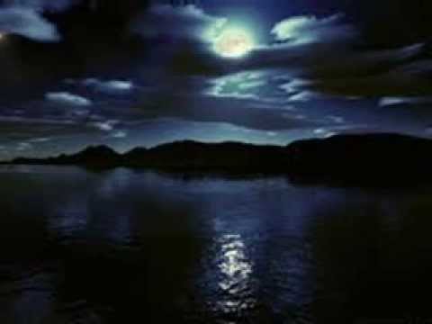 كشوق الليالي   