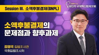 [2022 RILF 제13차] 세션3. 소액후불결제(BNPL) - 발제3 : 소액후불결제의 문제점과 향후 과제
