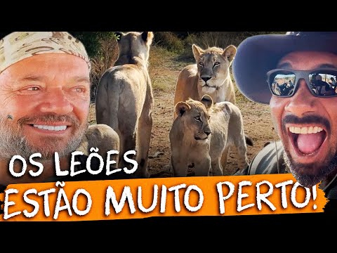 🐆 BALESTRIN COULDN'T BELIEVE WHAT HE SAW! Safari with wild predators 😳