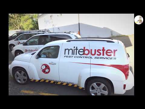 bug services near me