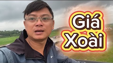 Giá xoài Đài Loan, cát hòa lộc và cát chu ngày 6 tháng 7, 2025