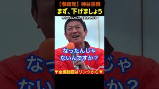 【消費税、社会保険料】まず、下げましょう!神谷宗幣#参政党