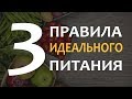 🔥 3 Главных Правила Идеального Питания | Как Составить Идеальный Рацион?