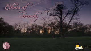 Echos of Serenity (SHORT FILM)
