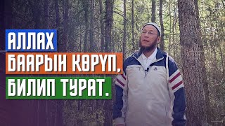 Садыбакас ажы Доолов. Тема: Аллах баарын көрүп, билип турат.