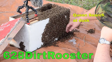 Stealing Swarm Traps Just Because...