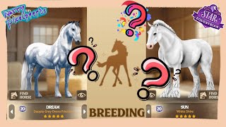 :  Zucht: Breeding "Dapple Grey Overo Friesian" & "White Shire" |  Star Equestrian 
