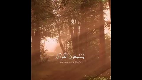القارىء رعد الكردي سورة الأحقاف