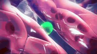 🎧Powerful Stem Cell Regeneration Frequency-Healing Cells From Toxin-Isochronic Tones+Binaural Beats