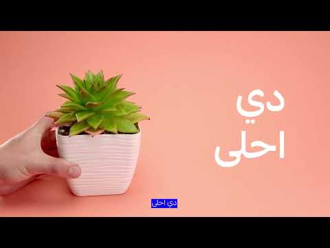 ما تفو تش سوبر نوفمبر مع البنك العربي مصر