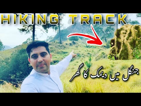 Hiking Track 