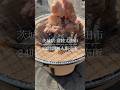【茨城県】BBQに最高！常陸太田市のごちゃまぜホルモン！#shorts #七輪#BBQ